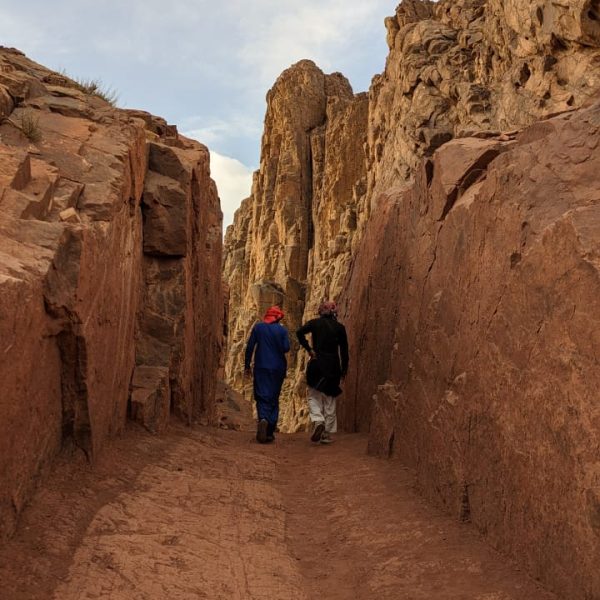 WhatsApp Image 2023-07-18 at 11.45.08 AM